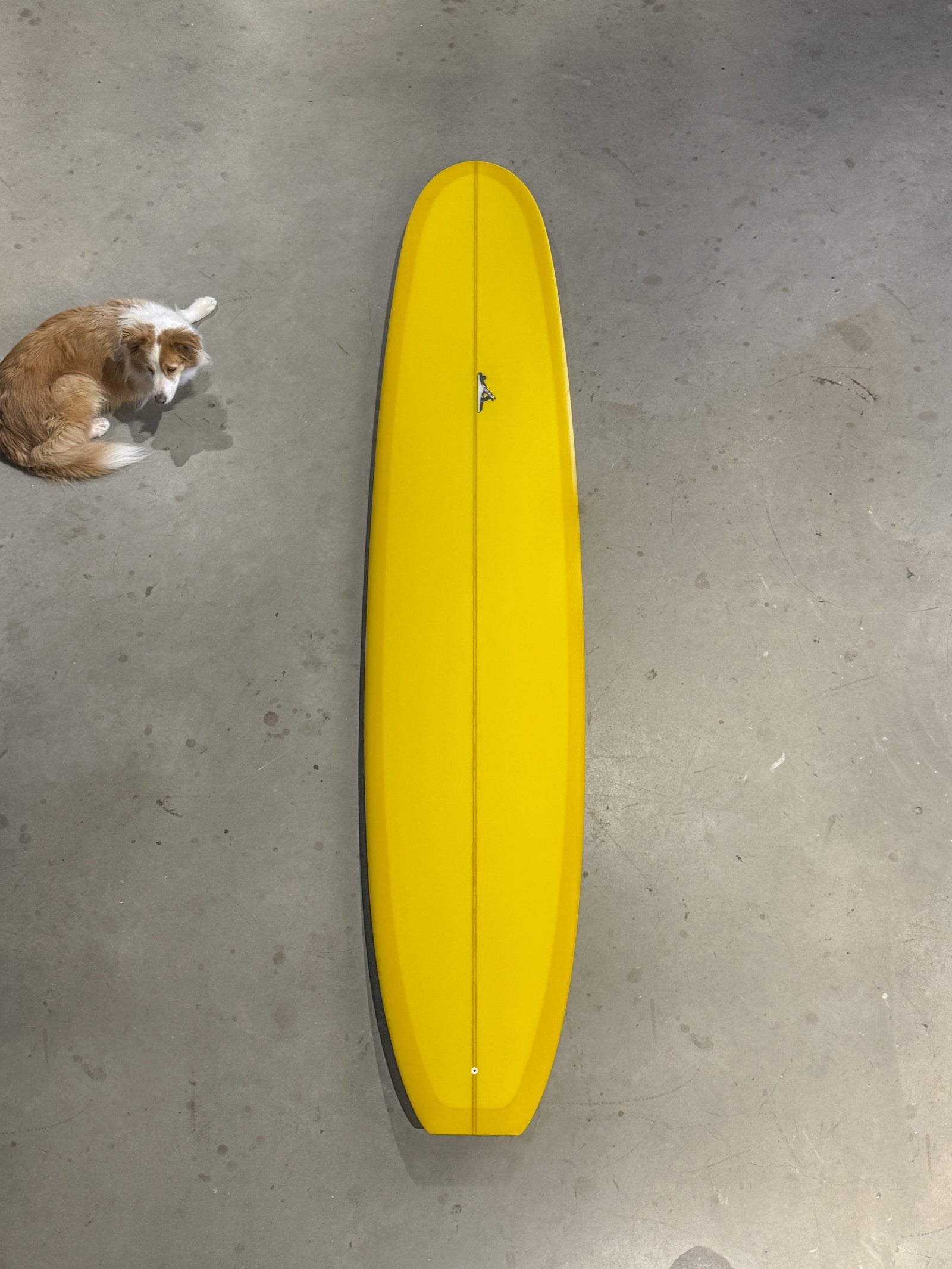 10'0" New Faithful #10989